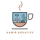 Aamir Aquatics Logo